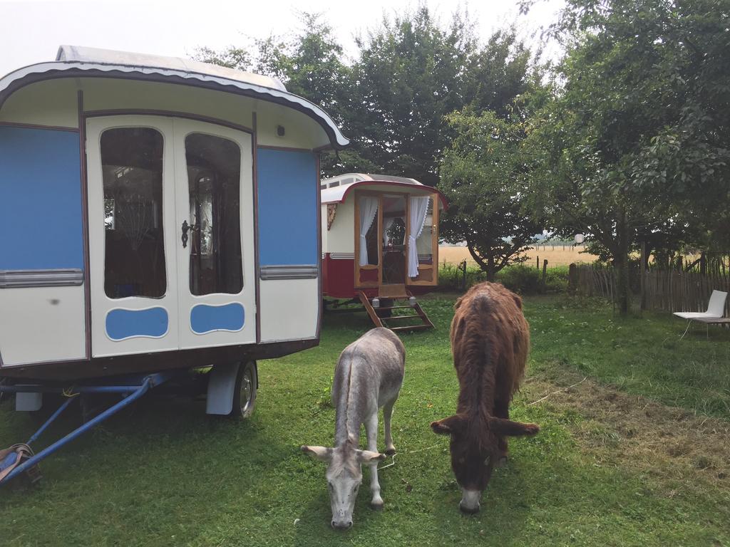 B&B Vennehoeve Vremde 외부 사진